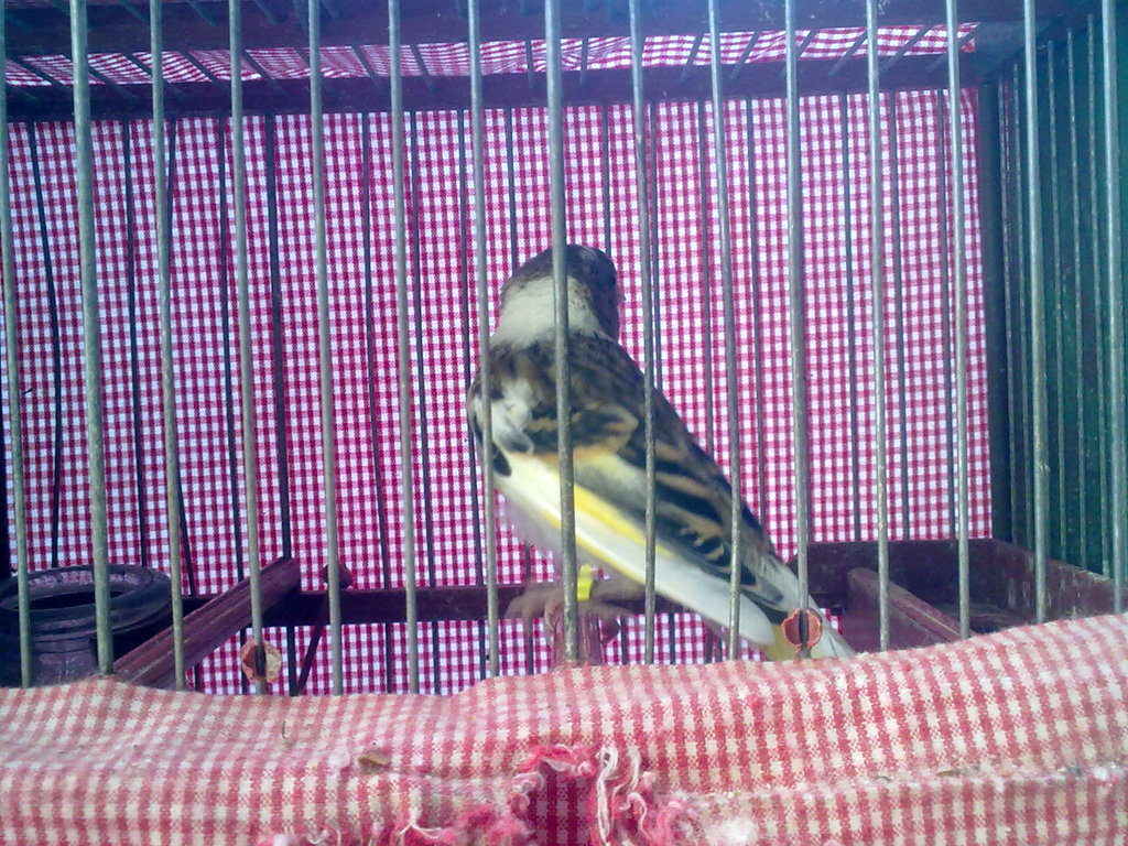 02082012145.jpg