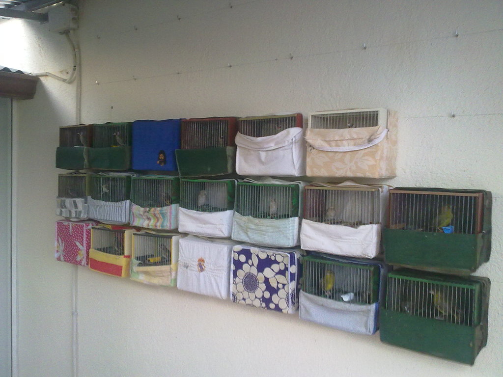 06082012154.jpg
