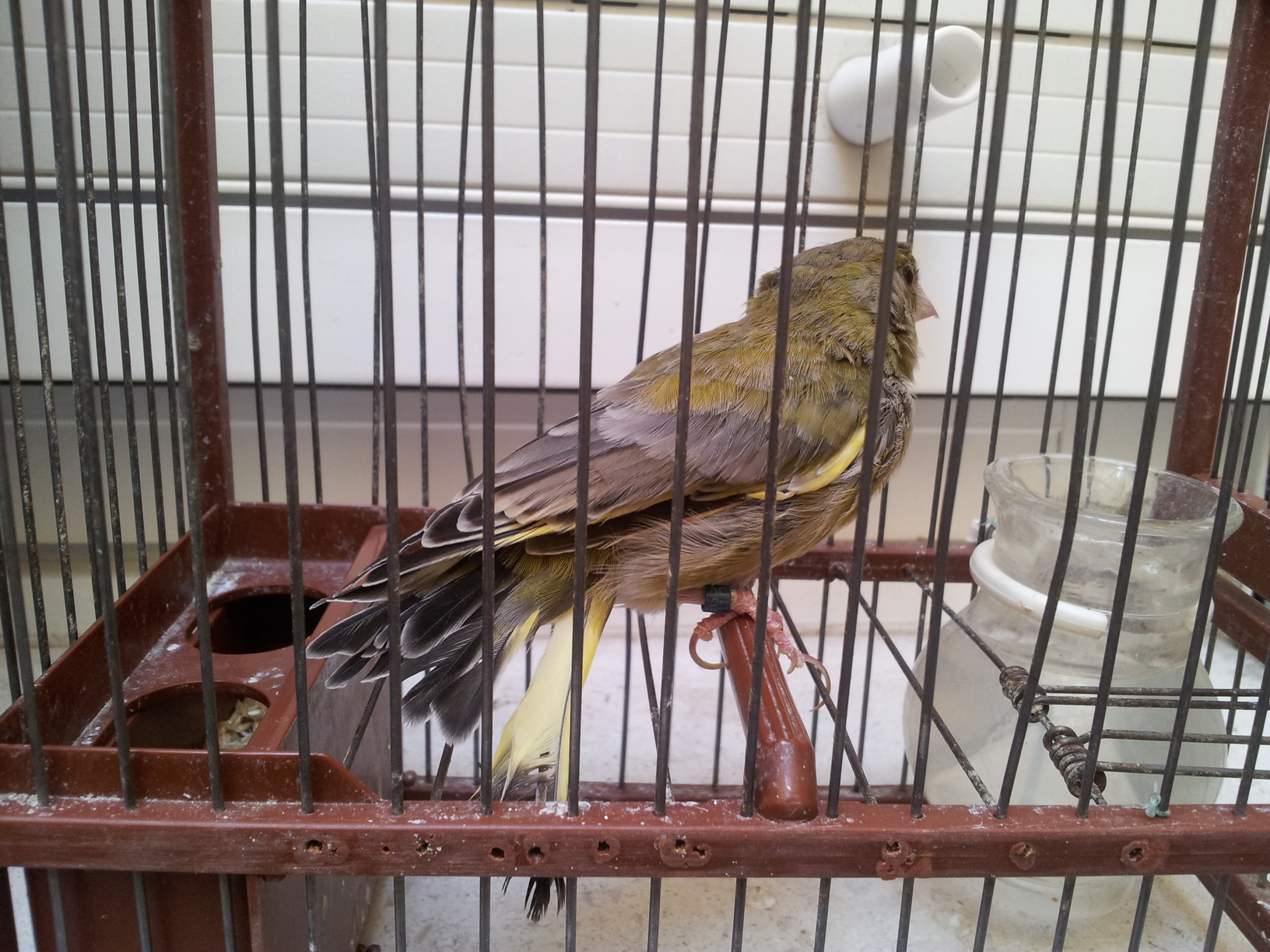 20120813_163840.jpg