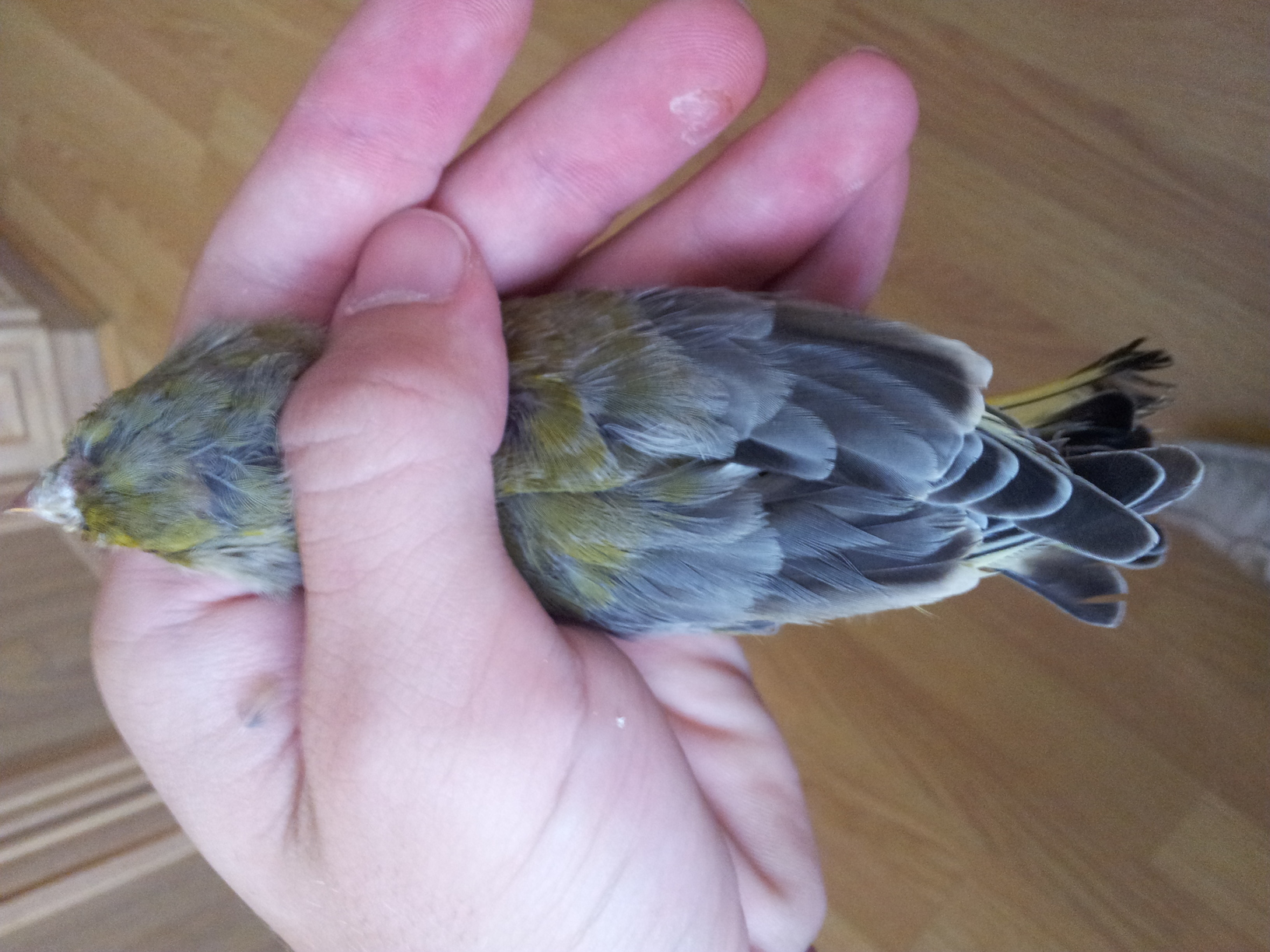 20120813_163746.jpg