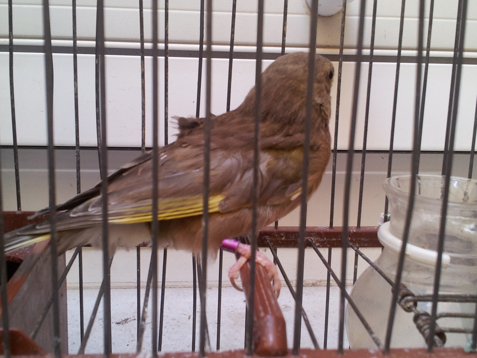 20120813_163356.jpg