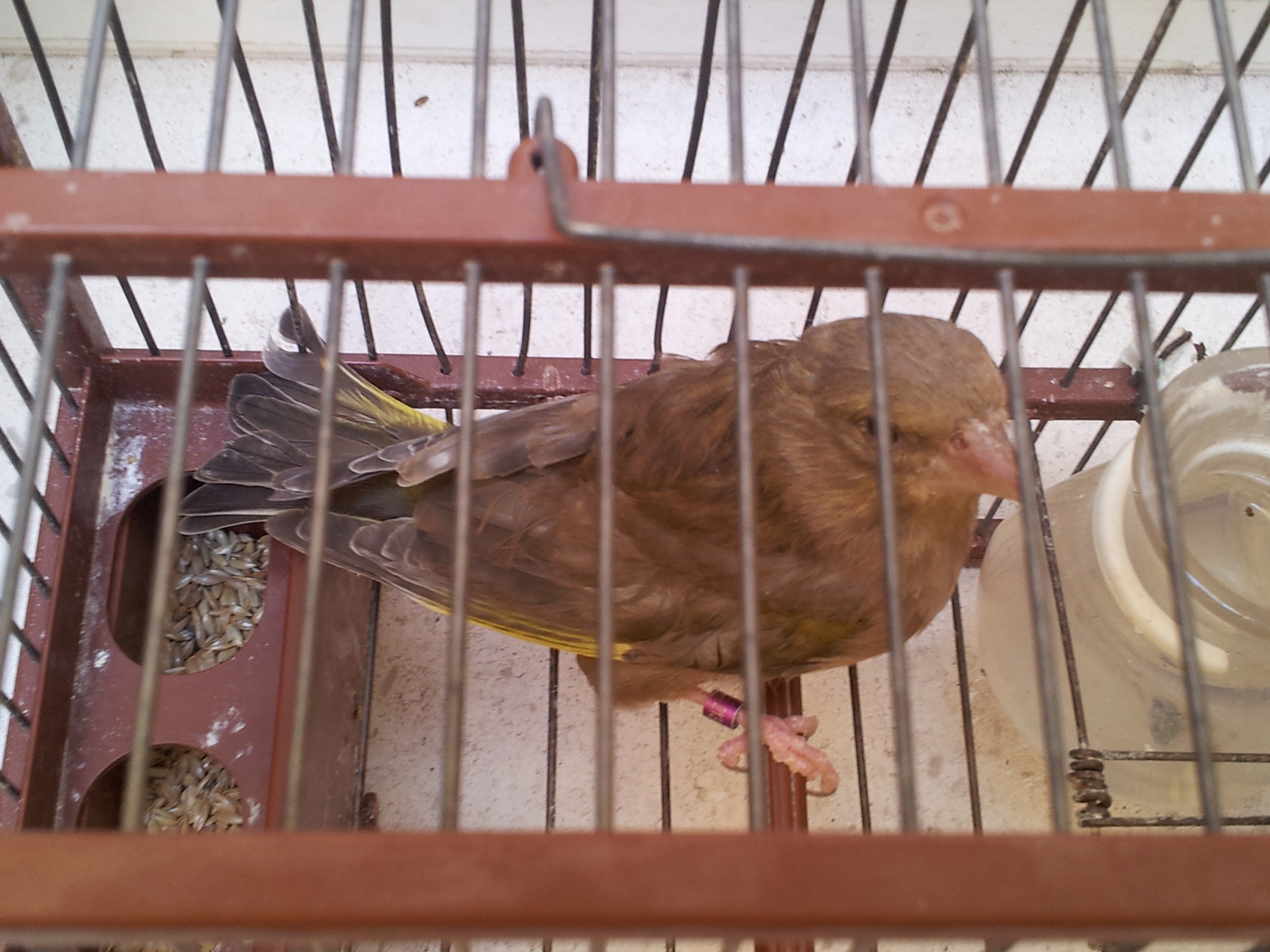 20120813_163346.jpg