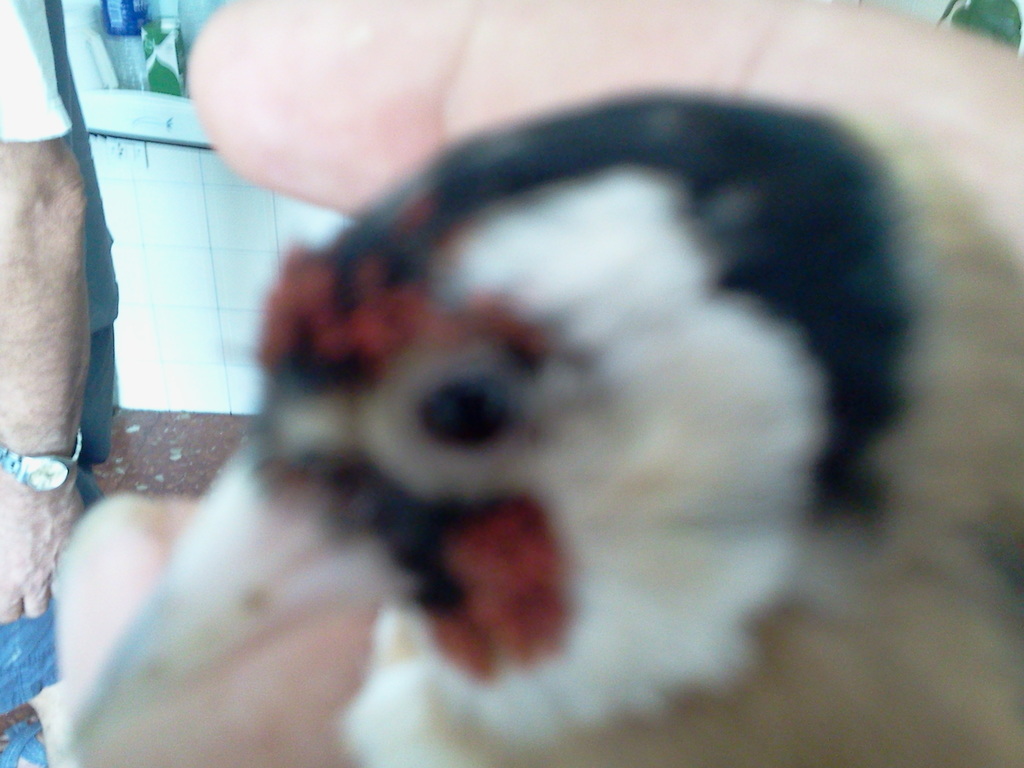 2012-08-15 13.54.38.jpg