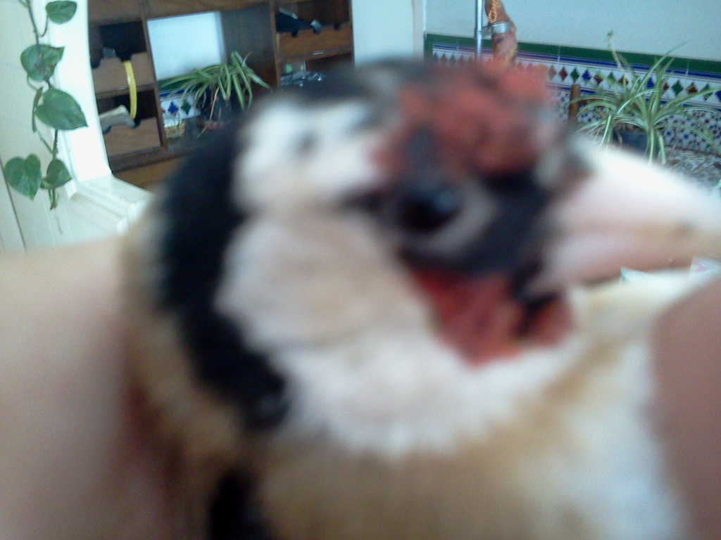 2012-08-15 13.54.52.jpg