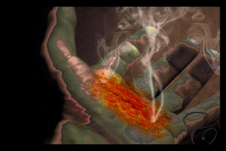 hand1.jpg