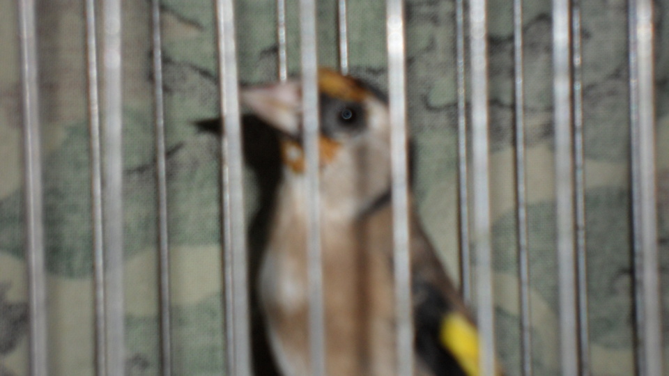 SAM_0965.JPG
