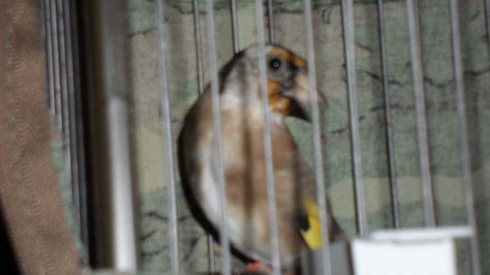 SAM_0967.JPG