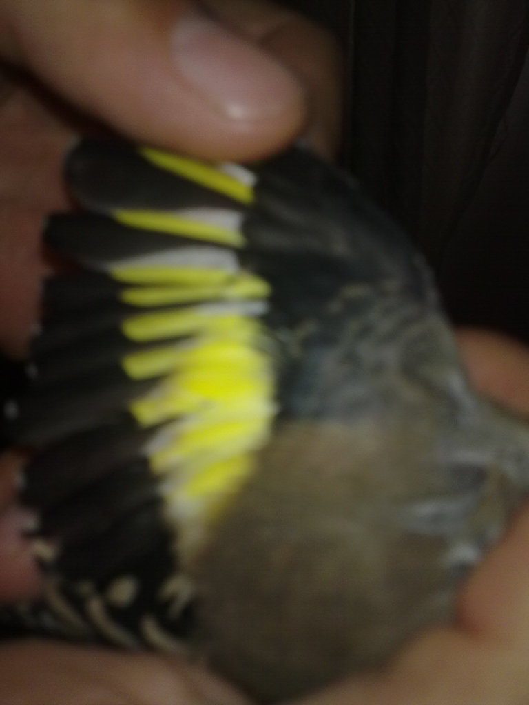 21082012145.jpg