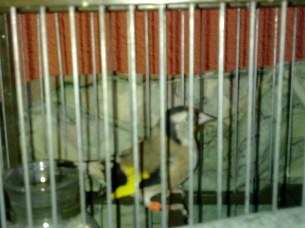 21082012147.jpg
