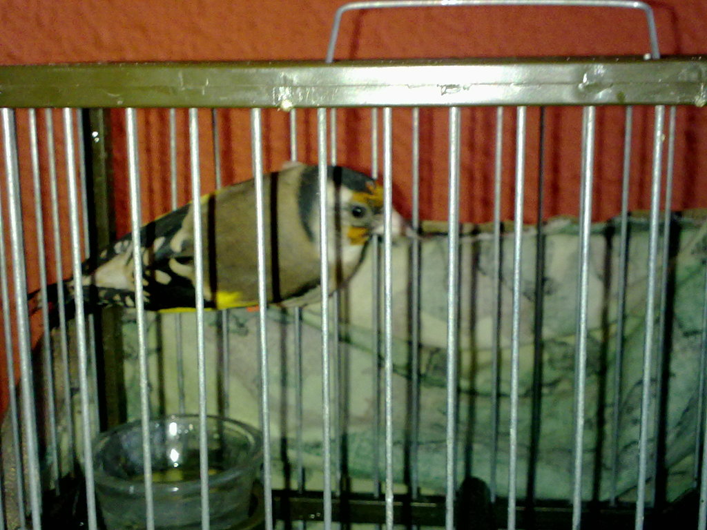 21082012148.jpg