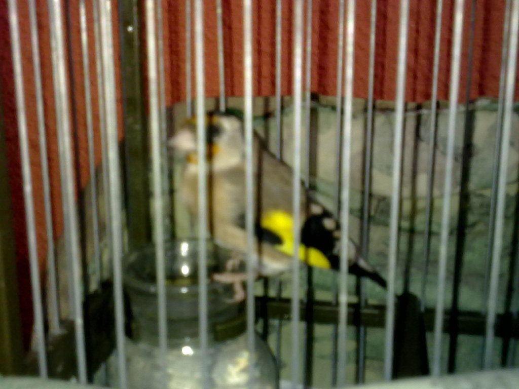 21082012149.jpg