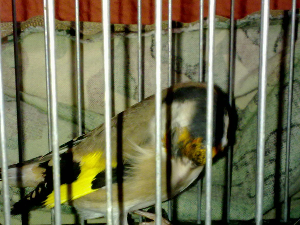 21082012152.jpg