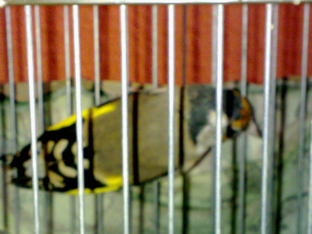 21082012155.jpg