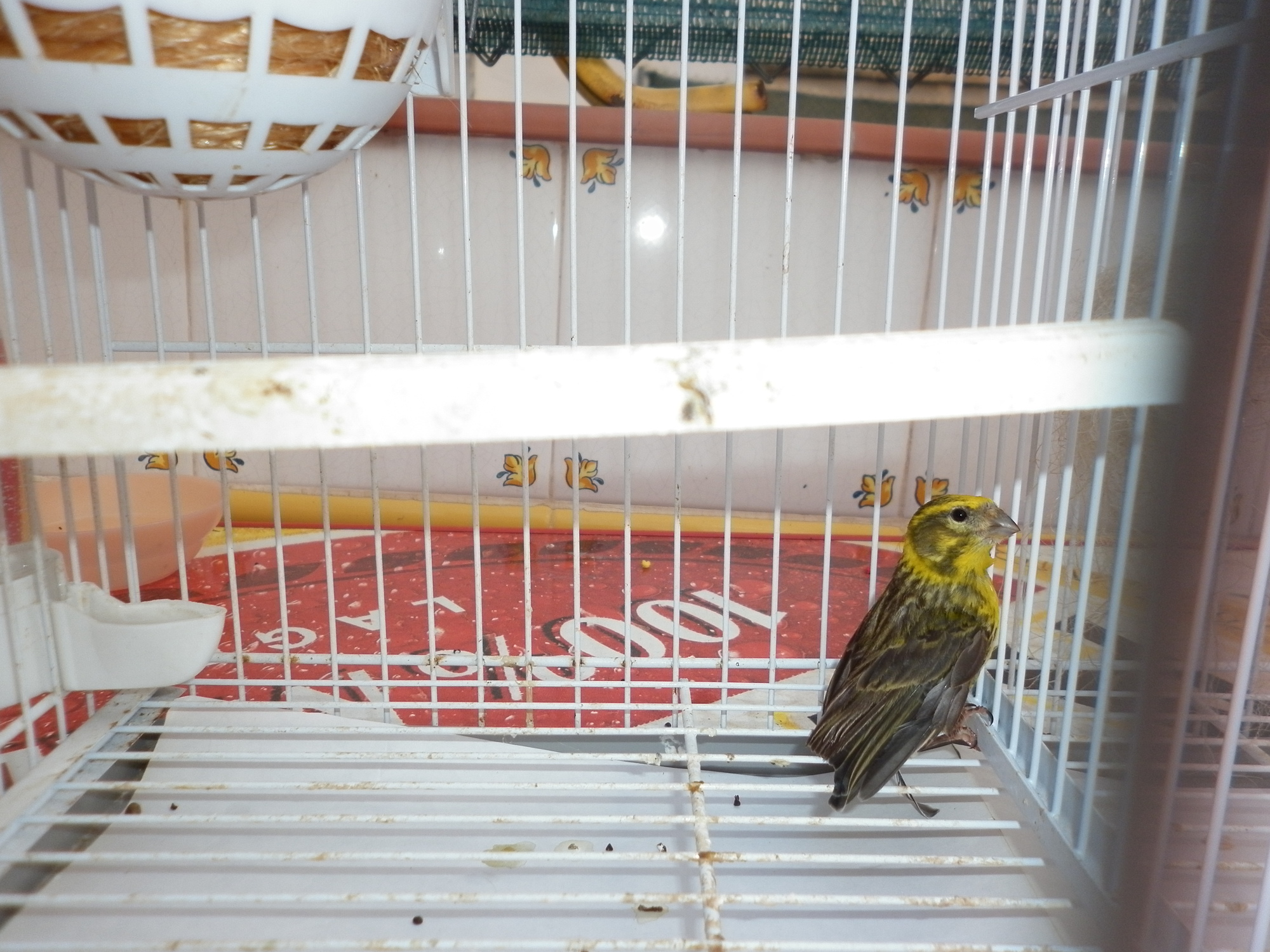 P1000270.JPG