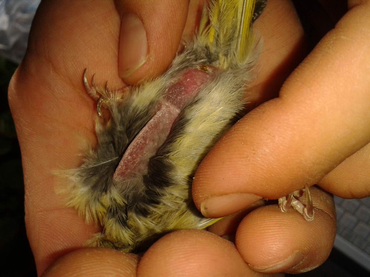 2012-08-29 19.24.37.jpg