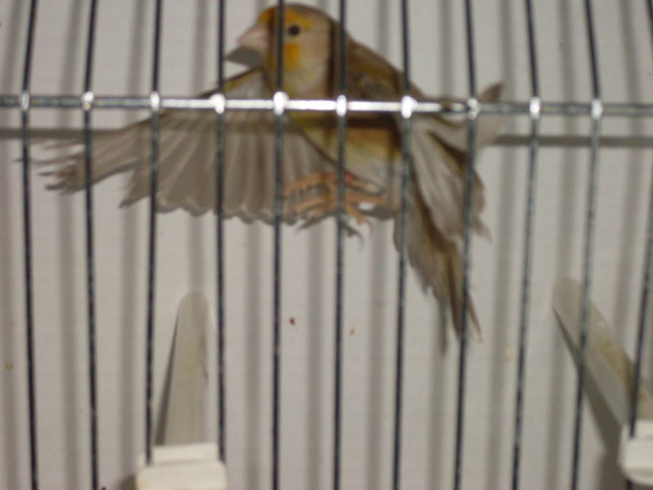 SDC10258.JPG
