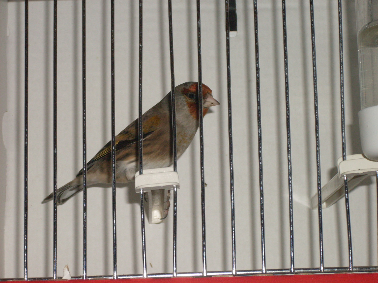 SDC10259.JPG