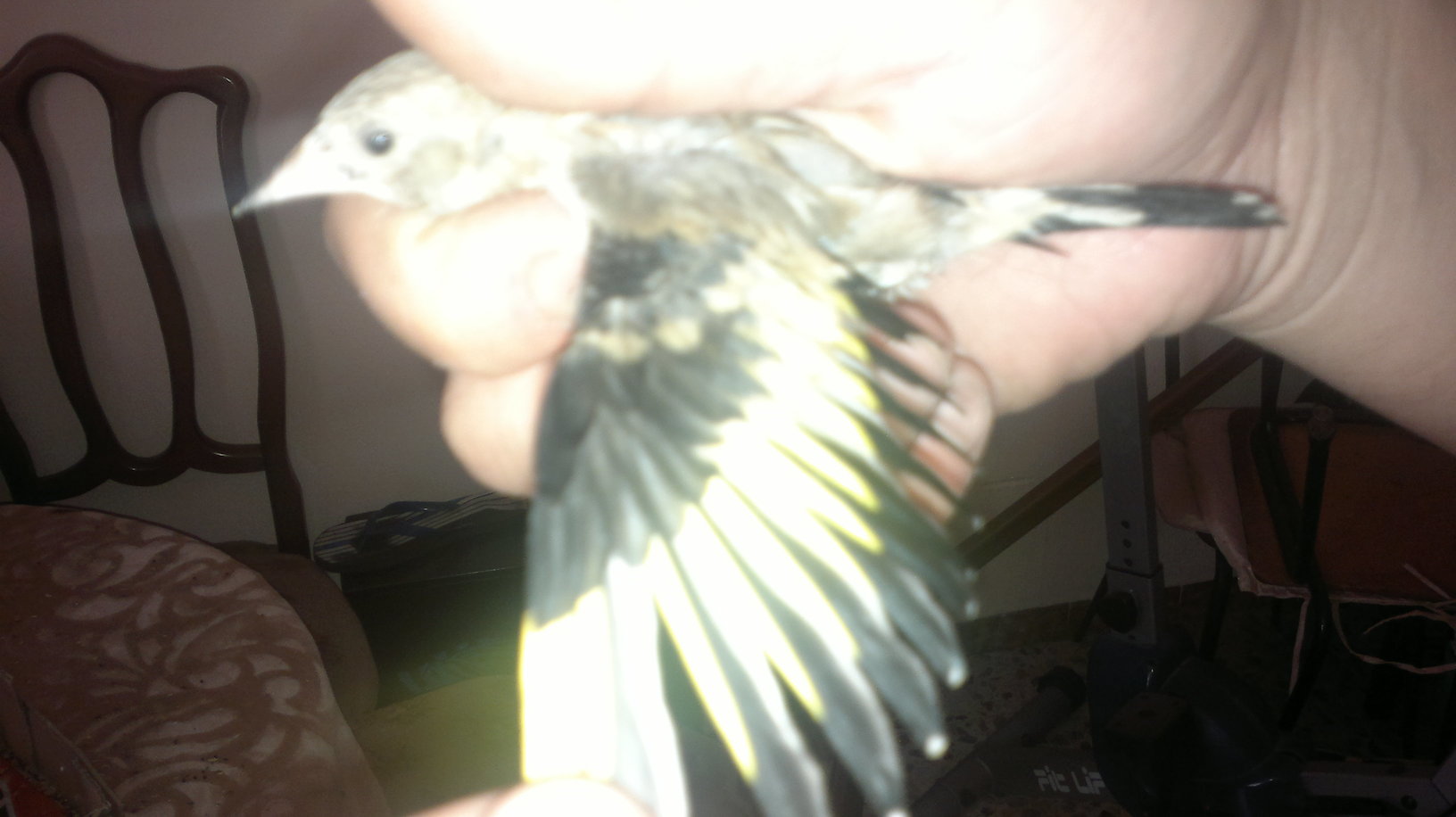 02092012062.jpg