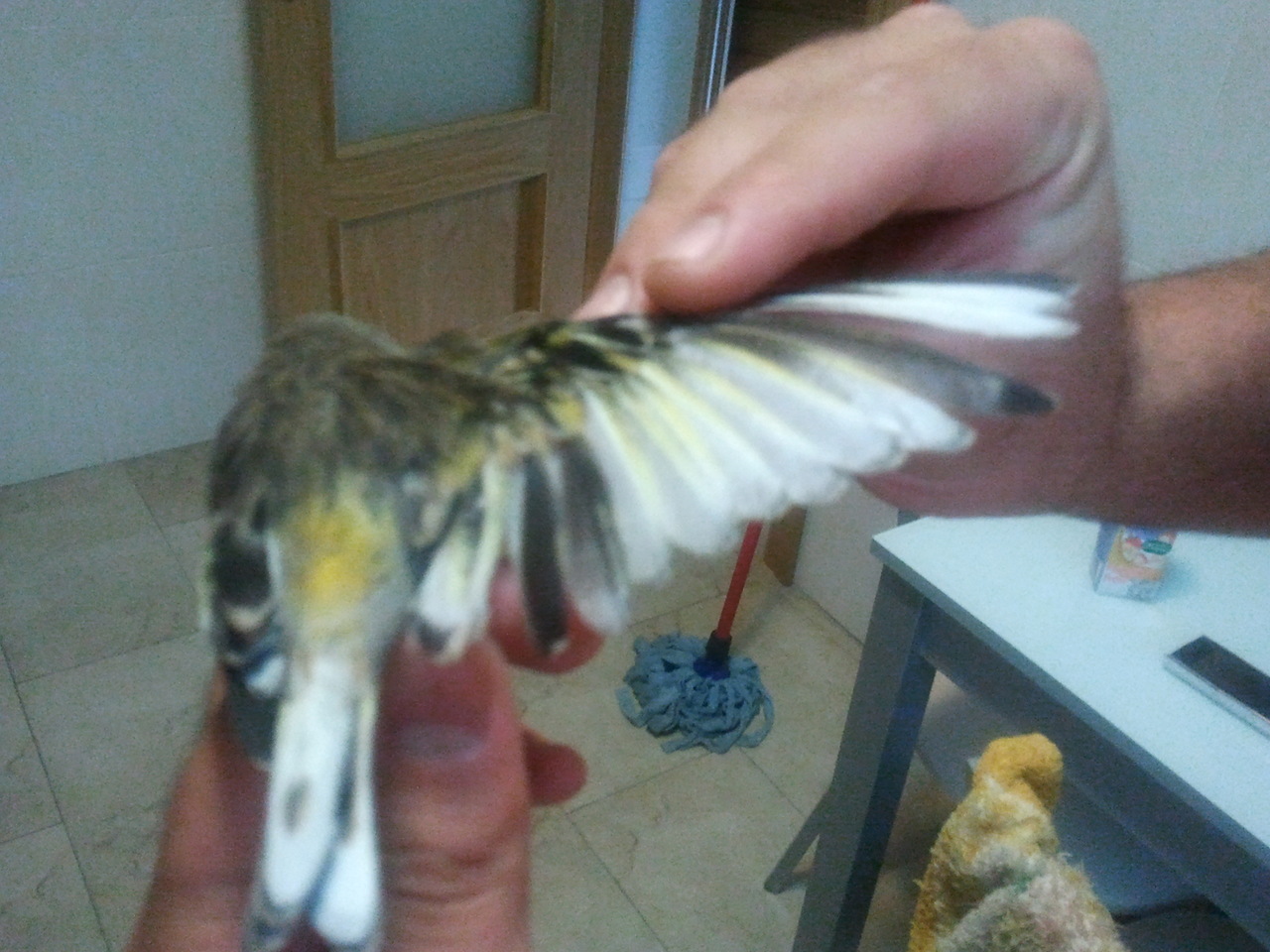 2012-08-23 11.08.03.jpg