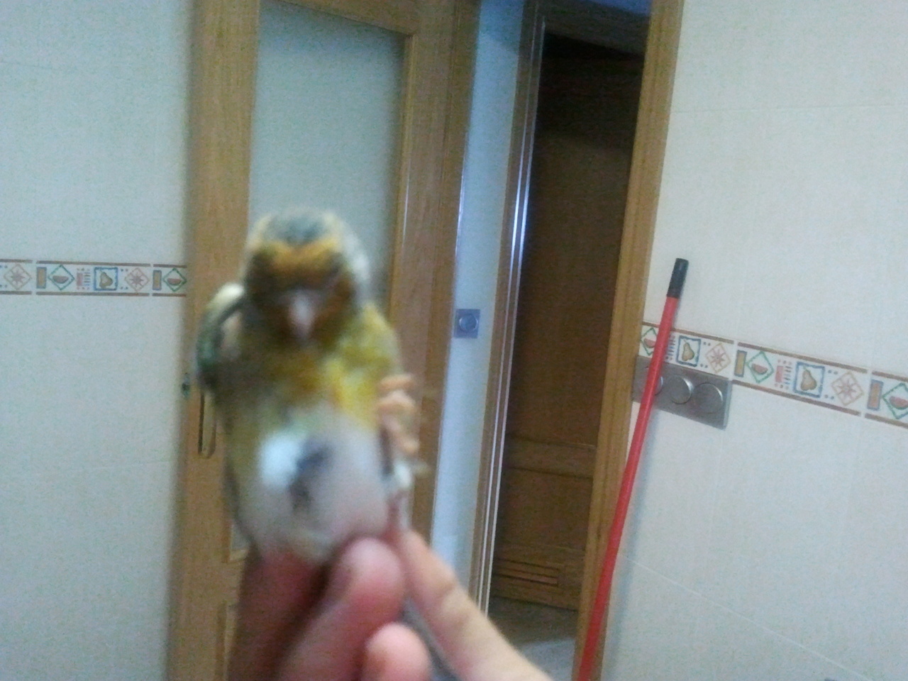 2012-08-23 11.08.33.jpg