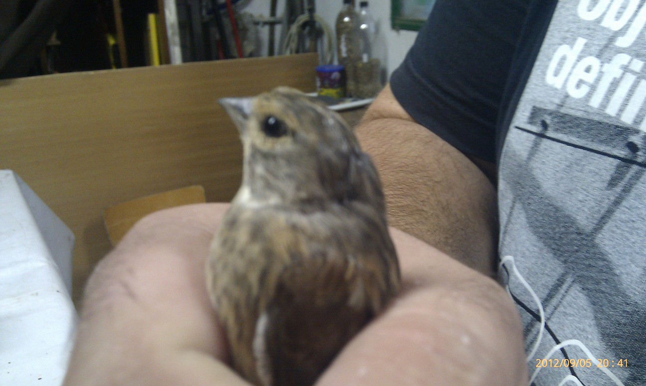 IMAG0649.jpg