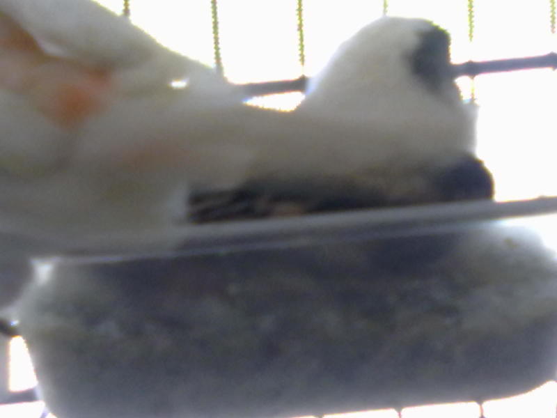 01072011212.jpg
