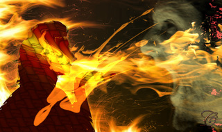fire_art_16mn.jpg
