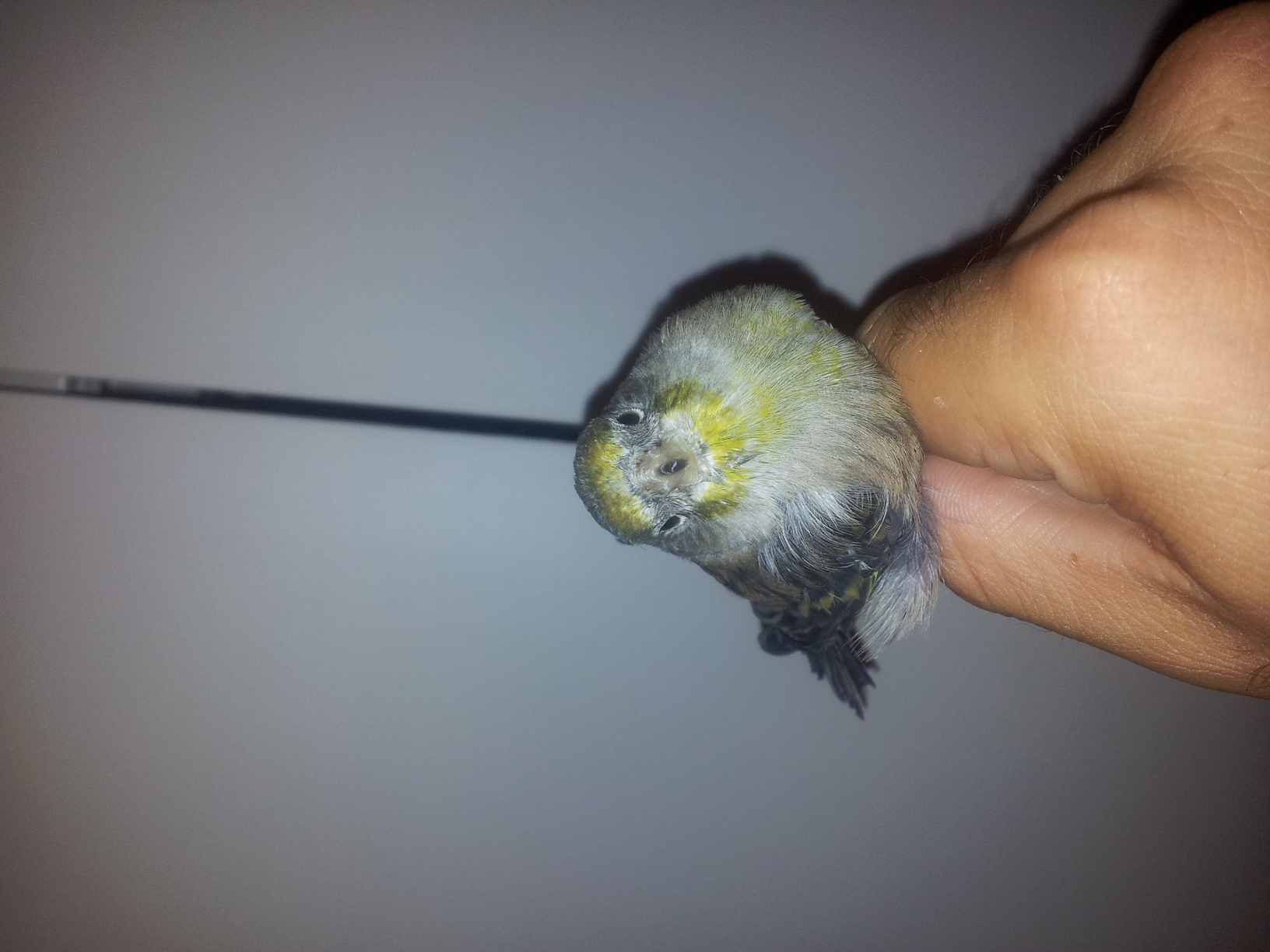 2012-09-21 14.49.25.jpg