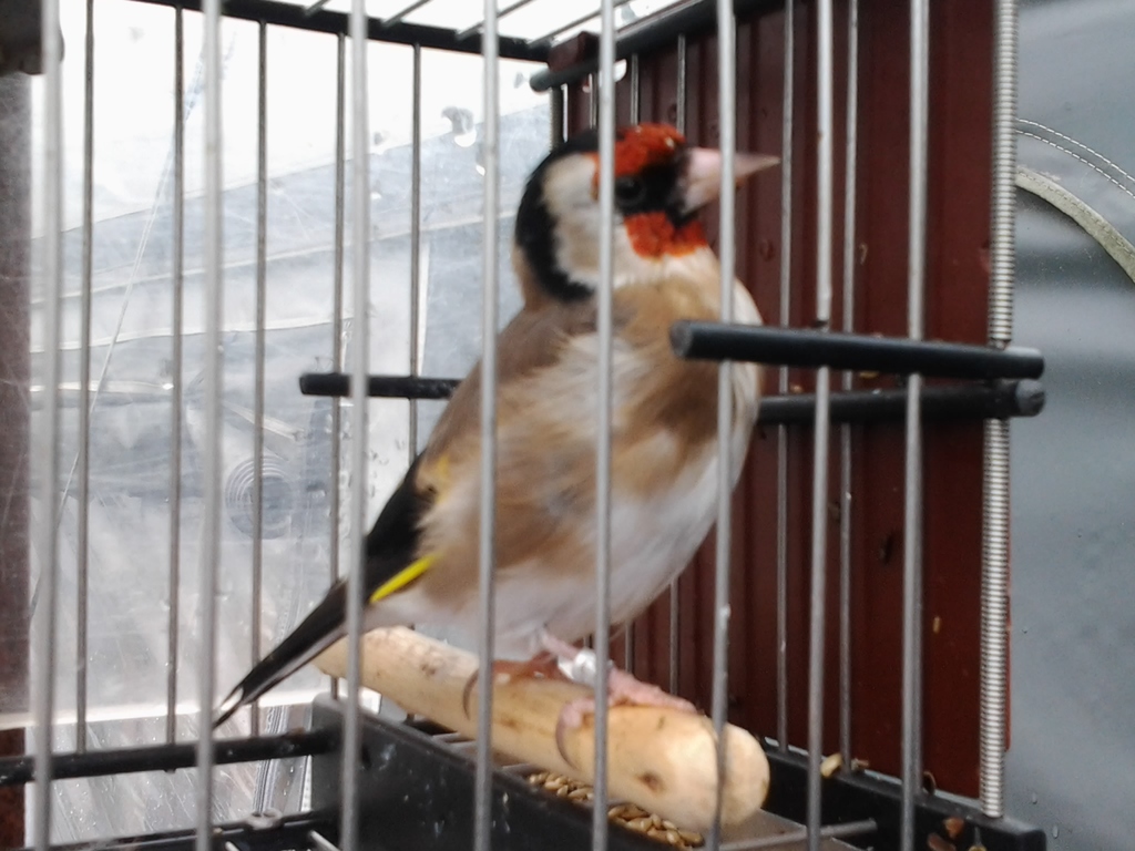 2012-08-29 12.41.26.jpg