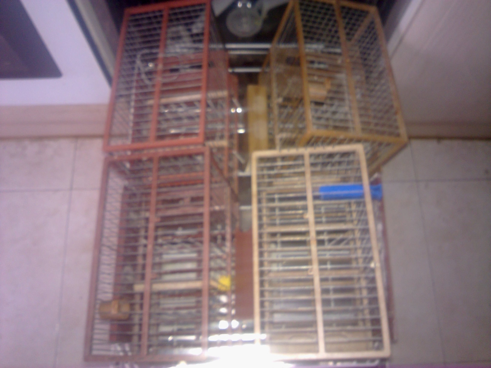 22122011508.jpg