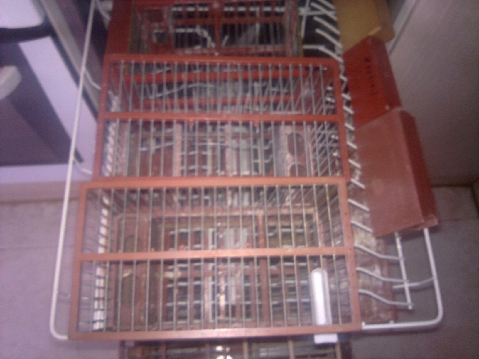 22122011509.jpg