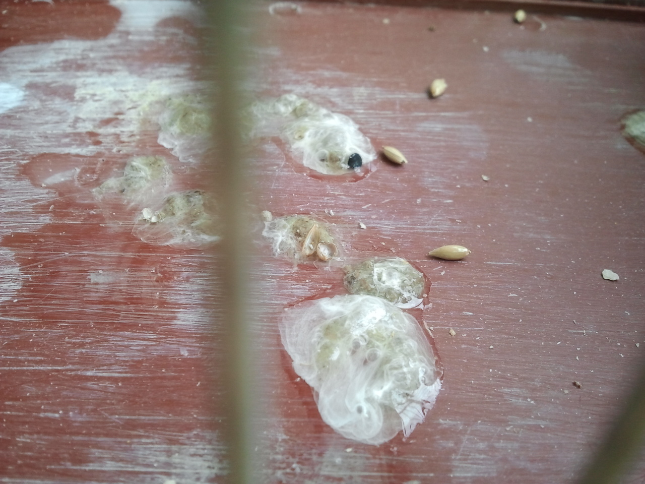 2012-10-10 13.48.24.jpg