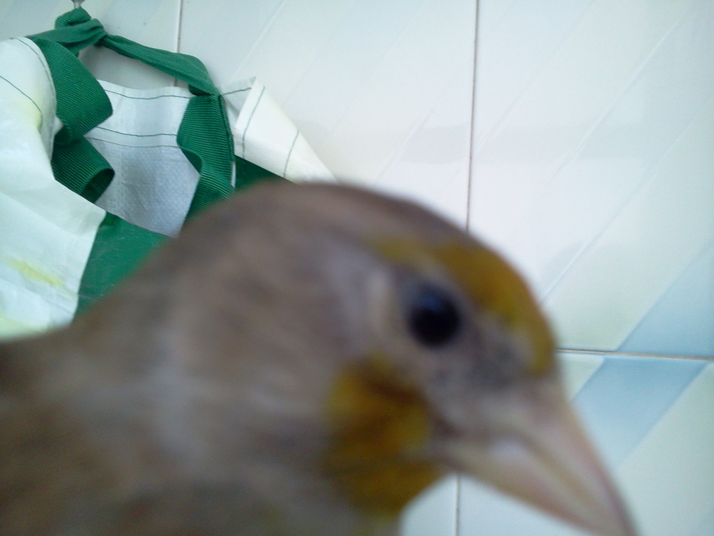 2012-10-15 14.36.09.jpg