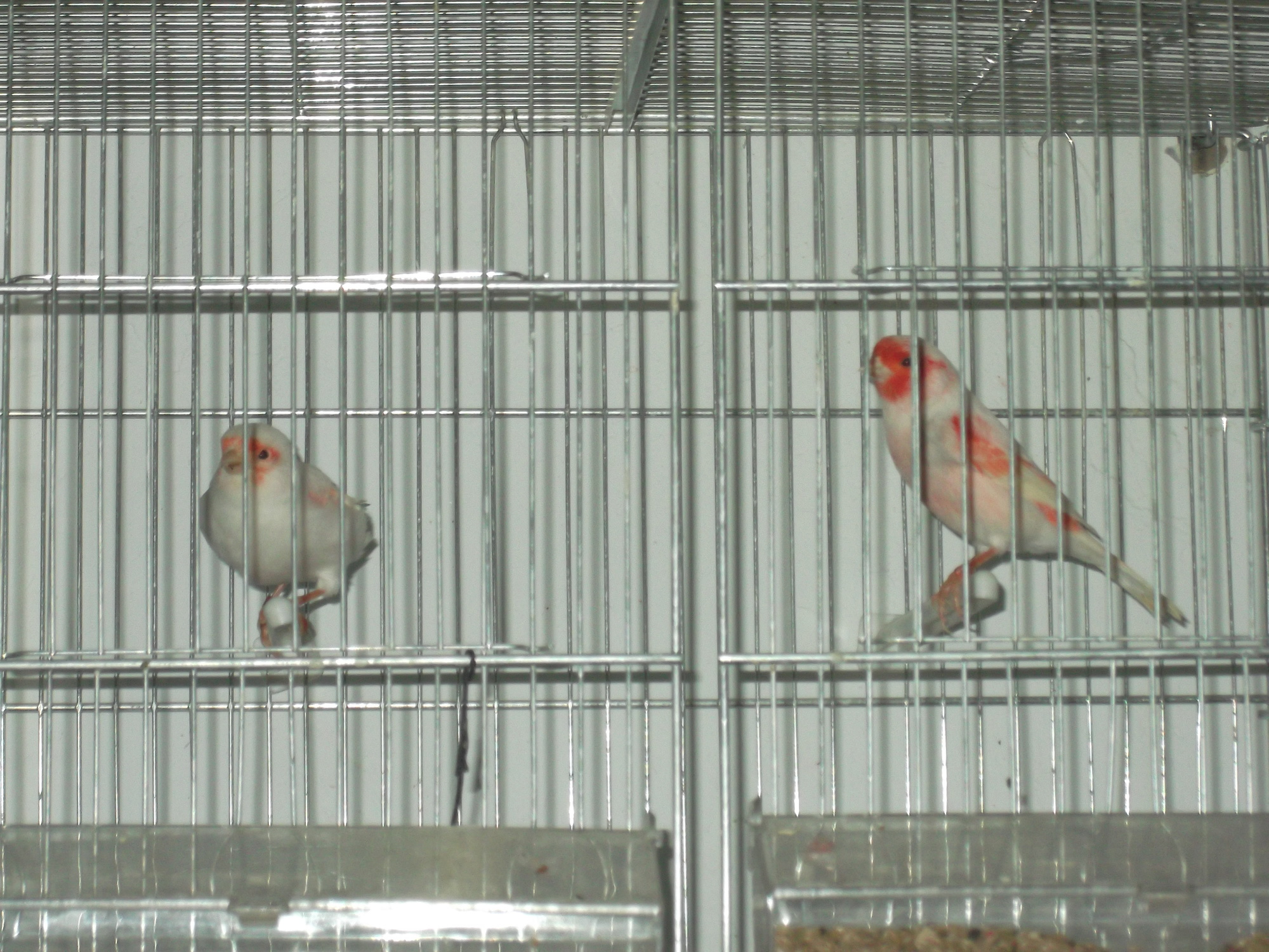 DSCF8364.JPG