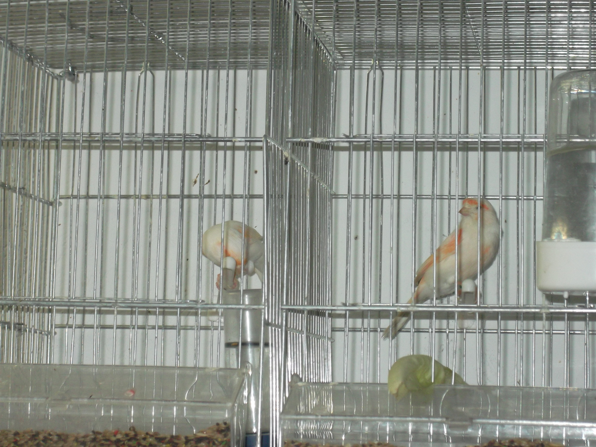 DSCF8365.JPG