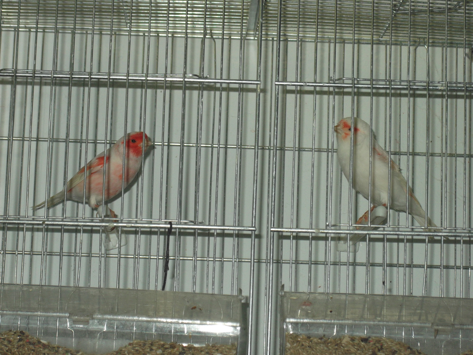 DSCF8390.JPG