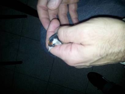 uploadfromtaptalk1350506801080.jpg