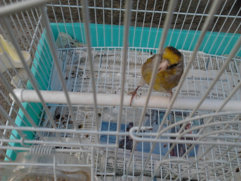 2012-10-23 15.59.21.jpg