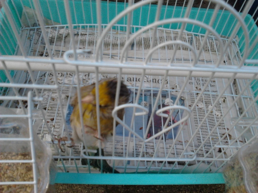 2012-10-23 16.01.28.jpg