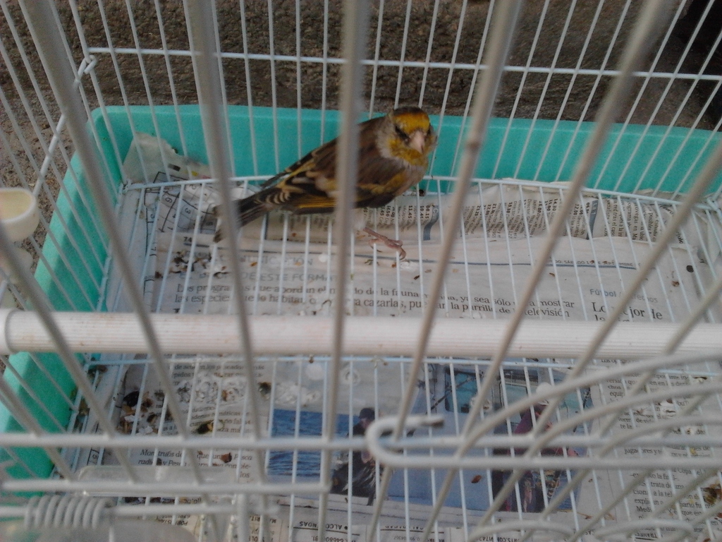 2012-10-23 16.00.12.jpg