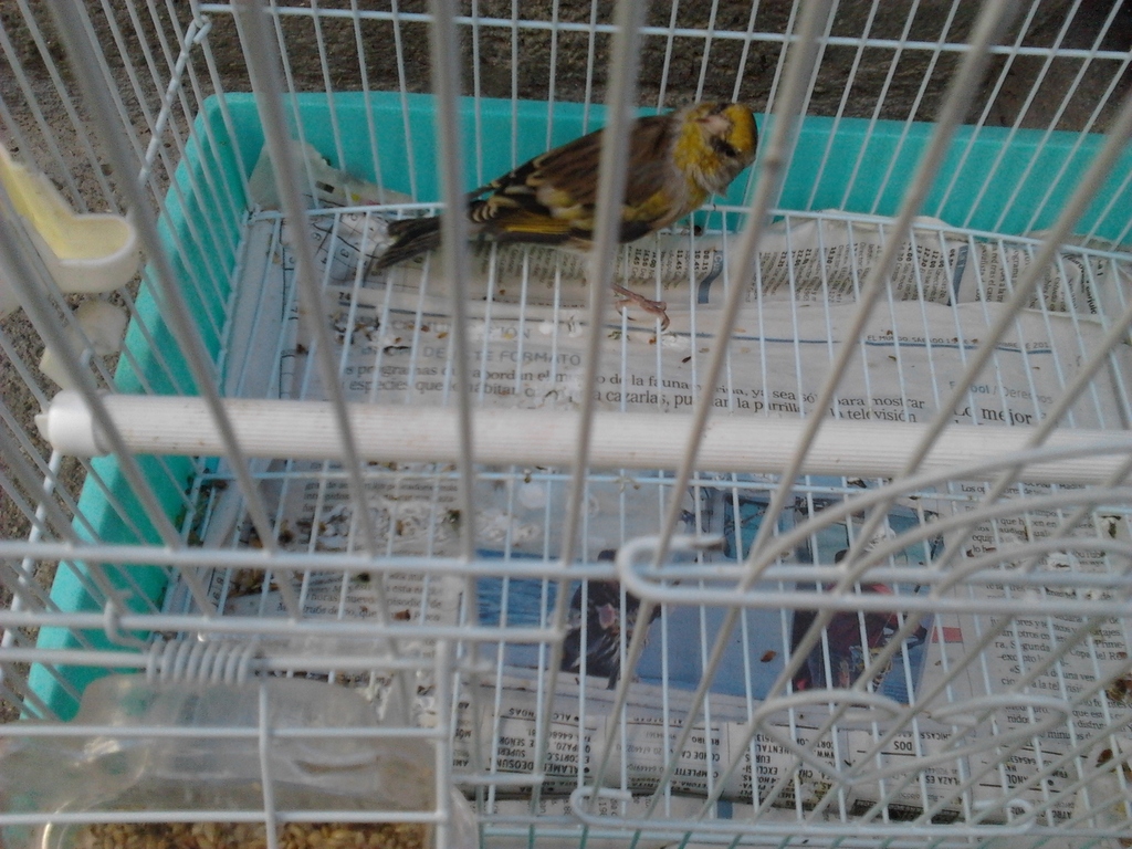 2012-10-23 15.59.46.jpg