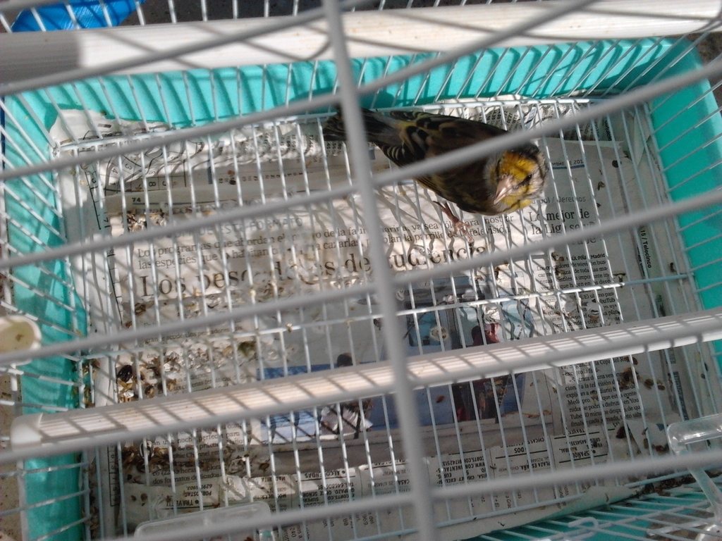 2012-10-23 15.47.11.jpg