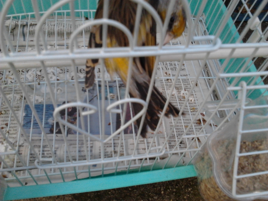 2012-10-23 16.02.03.jpg