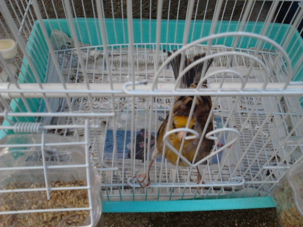 2012-10-23 16.01.49.jpg