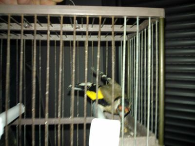 IMG-20121023-WA0002.jpg