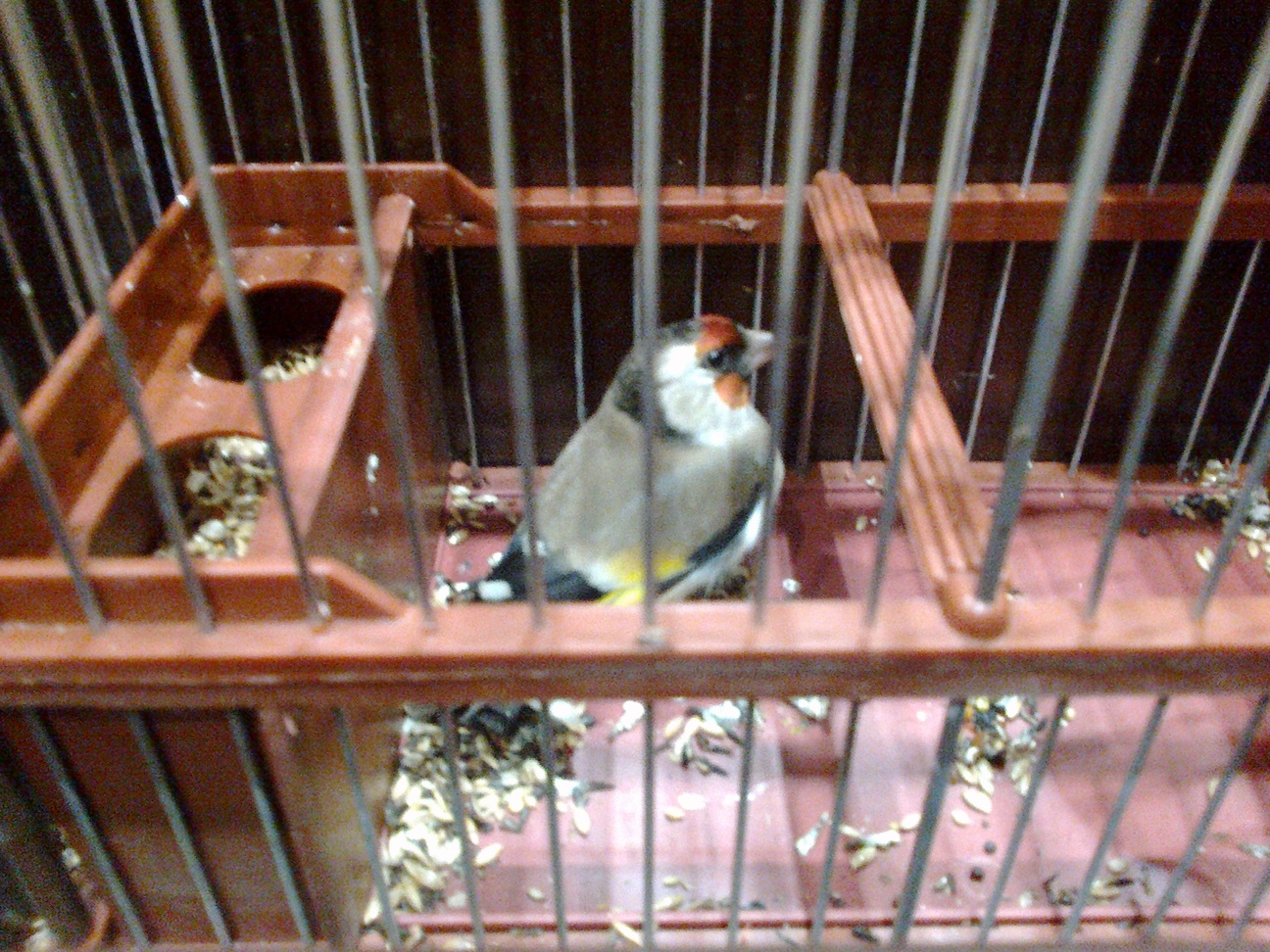 23102012055.jpg