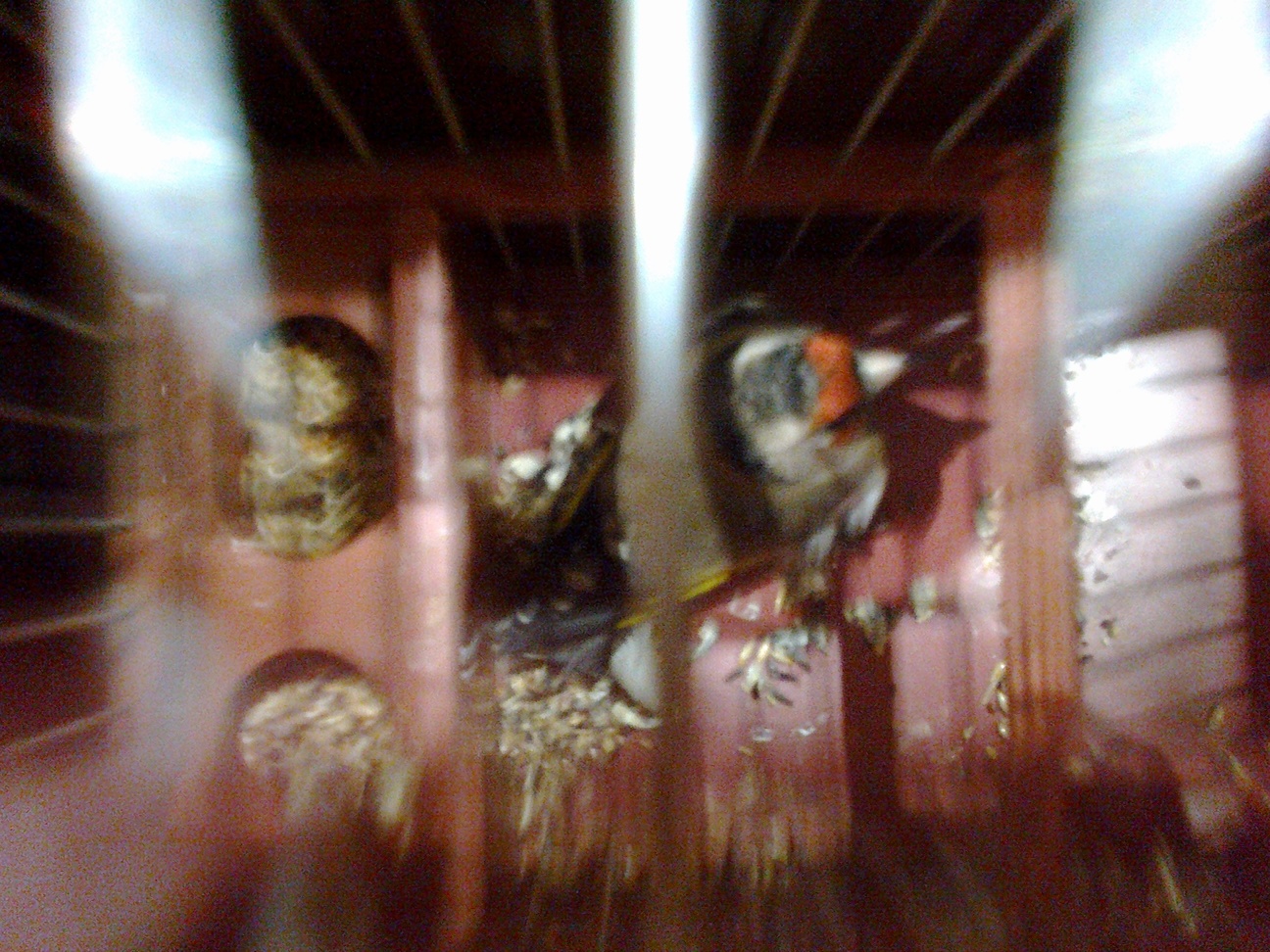 23102012056.jpg