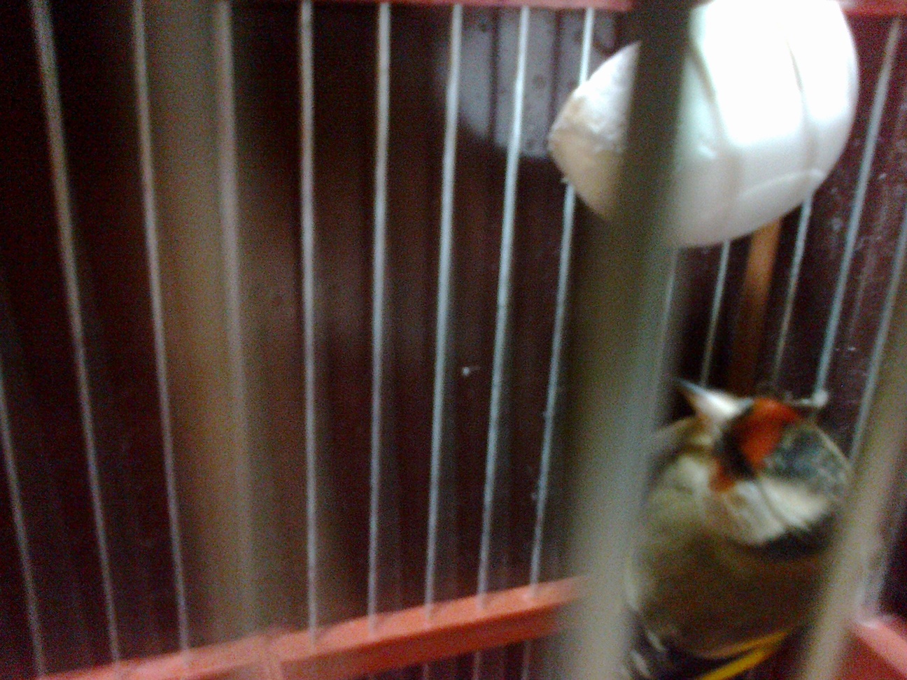 23102012058.jpg