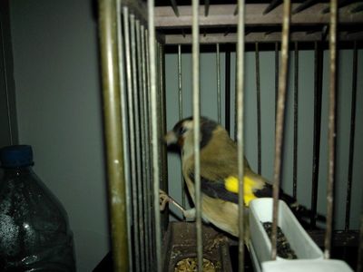 IMG-20121025-WA0001.jpg