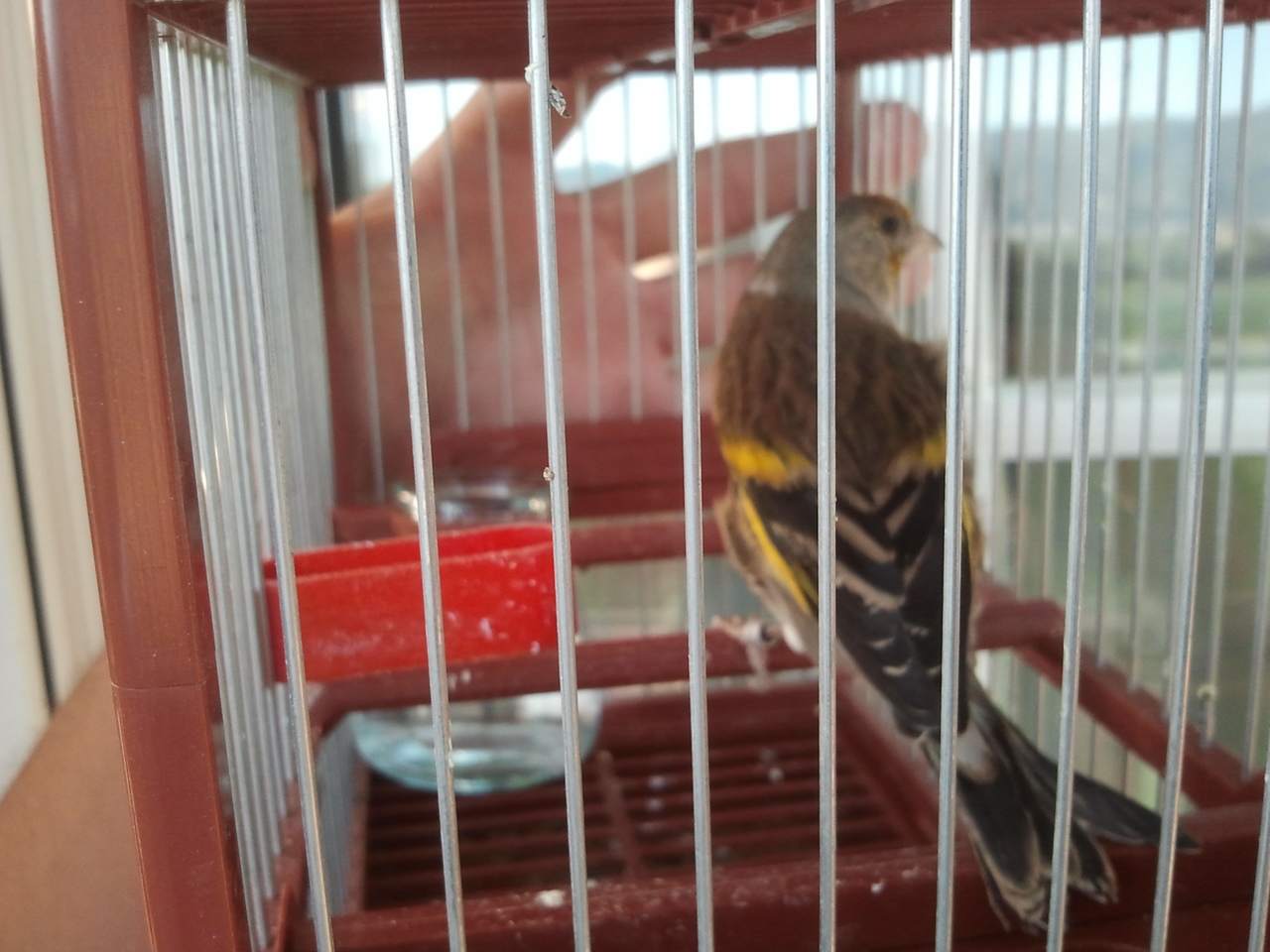 2012-10-23 17.41.50.jpg